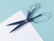 9” Acrylic & Stainless Steel Scissors Sapphire