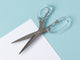9” Acrylic & Stainless Steel Scissors Silver